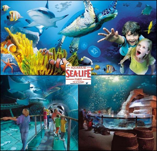 Disneyland Paris 6 Pers- Wifi - Disney Tv Wifi, Parking Chessy  Buitenkant foto